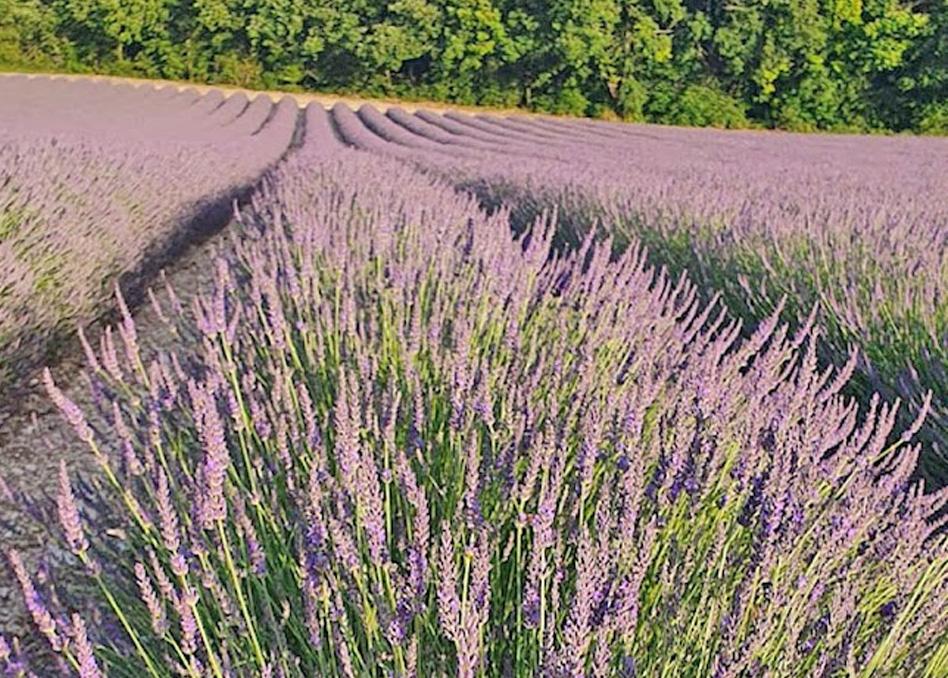 Domaine Lapeze Apartman Montcuq Kültér fotó
