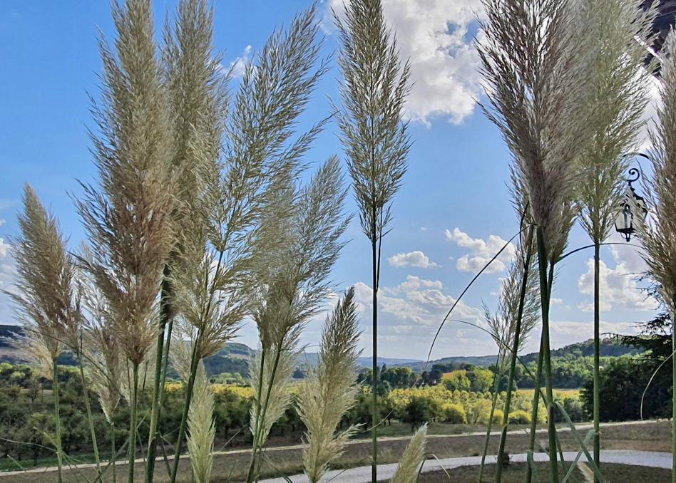 Domaine Lapeze Apartman Montcuq Kültér fotó